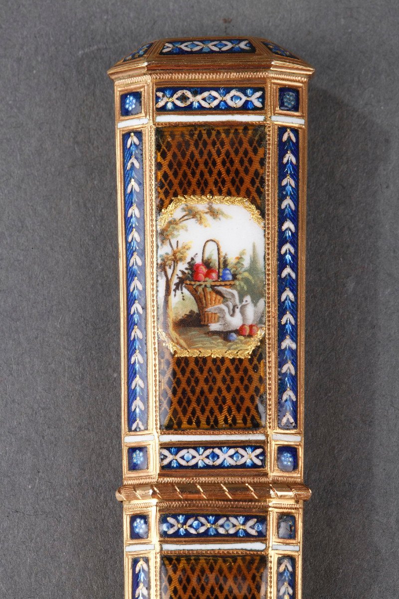 Gold And Enamel Needle Case. Late 18th Century Swiss Work. -photo-1