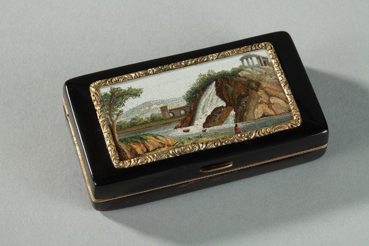 Early 19th Gold-lined, Tortoiseshell Micromosaic Snuff Box. Empire Period. -photo-8