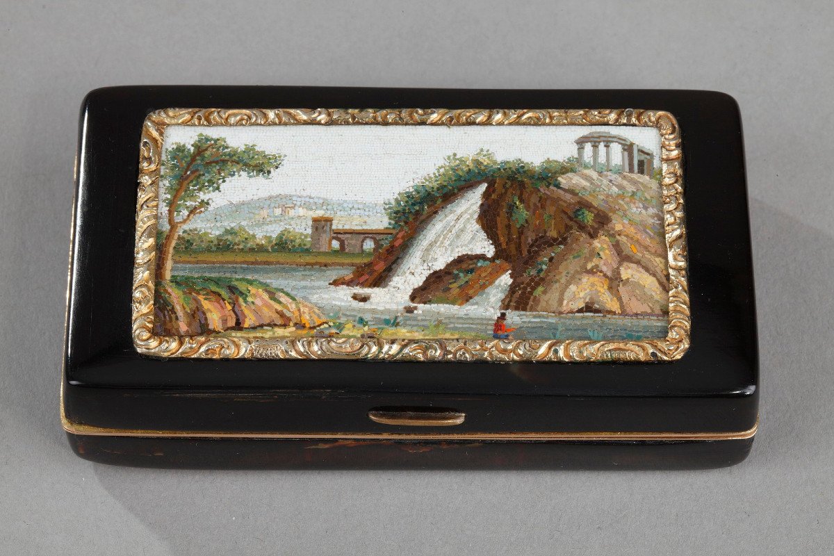 Early 19th Gold-lined, Tortoiseshell Micromosaic Snuff Box. Empire Period. 