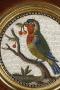 1780176-alb-6a32aade687eb.jpg