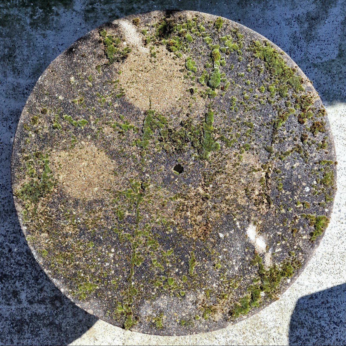 Mossy Faux Wood Table-photo-3