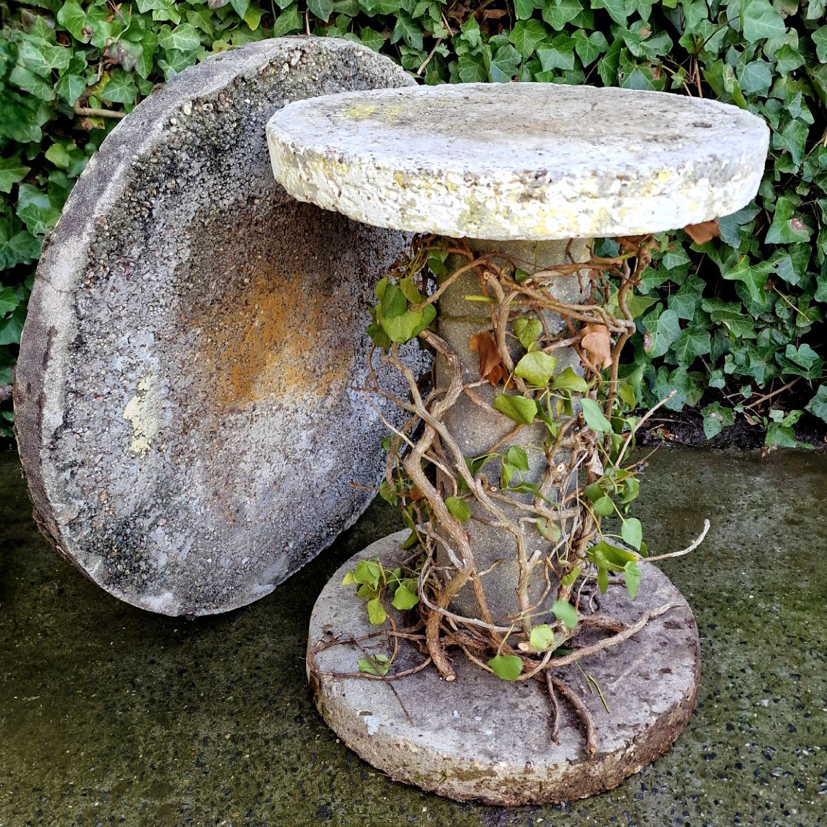 Pair Of Mosaic Tables In Cement-photo-6