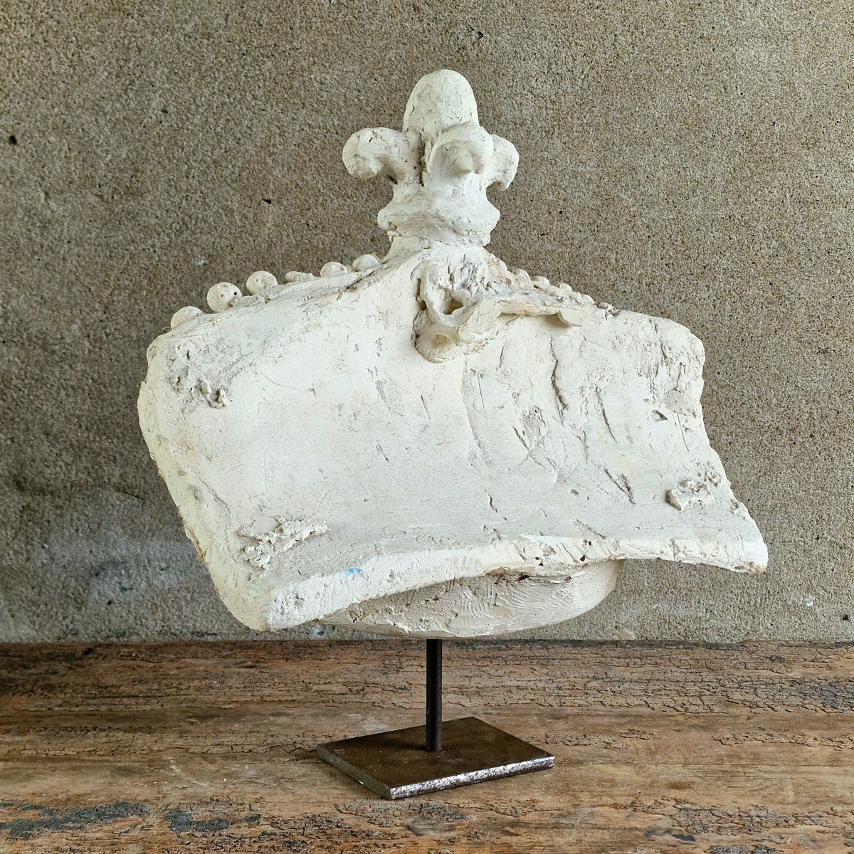 Mounted Plaster Crown-photo-7
