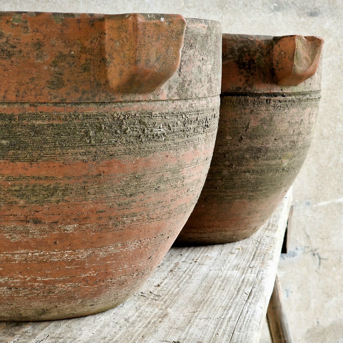 Pair Of Terracotta Planters-photo-4