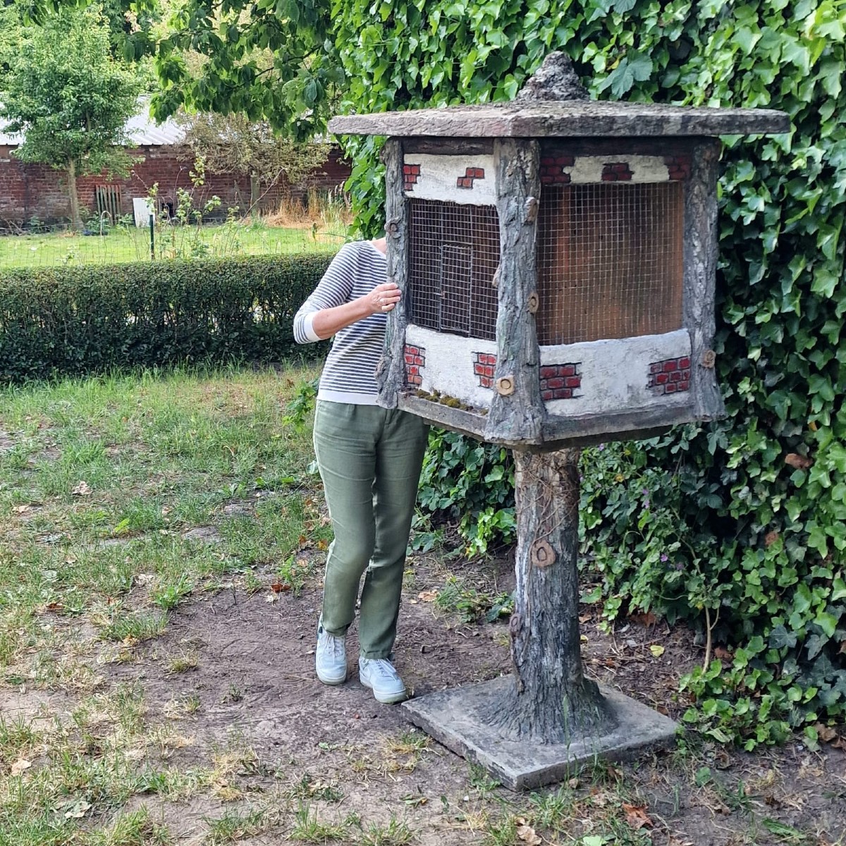 Grande Cage à Oiseaux En Faux Bois-photo-5