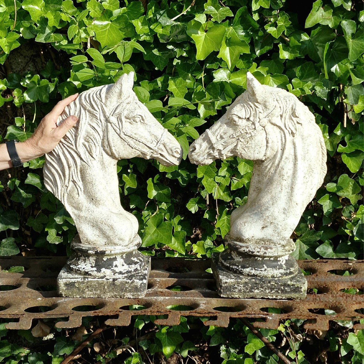 Paire de têtes de cheval -photo-1
