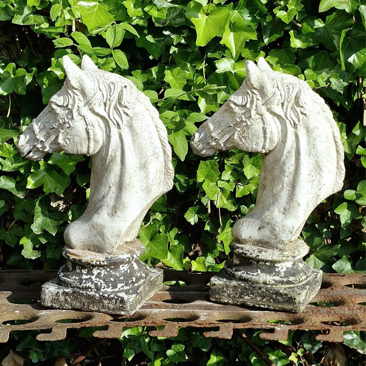 Paire de têtes de cheval -photo-6