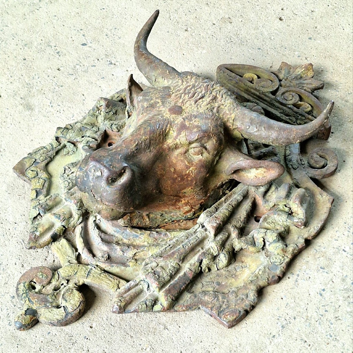 Cast Iron Bull's Head-photo-3