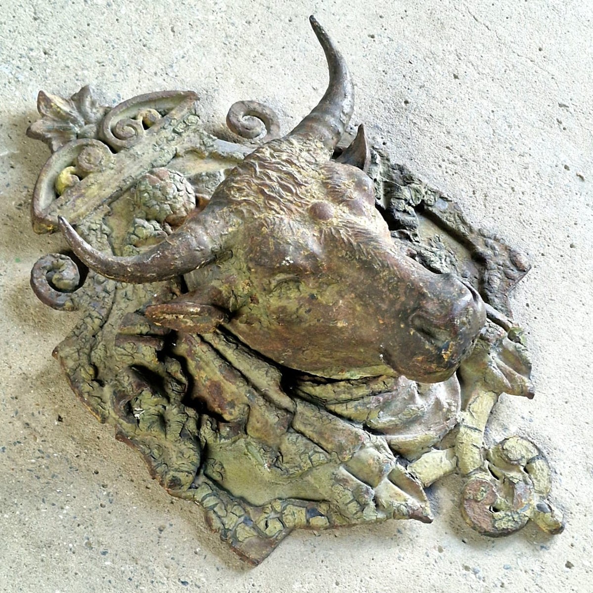 Cast Iron Bull's Head-photo-4