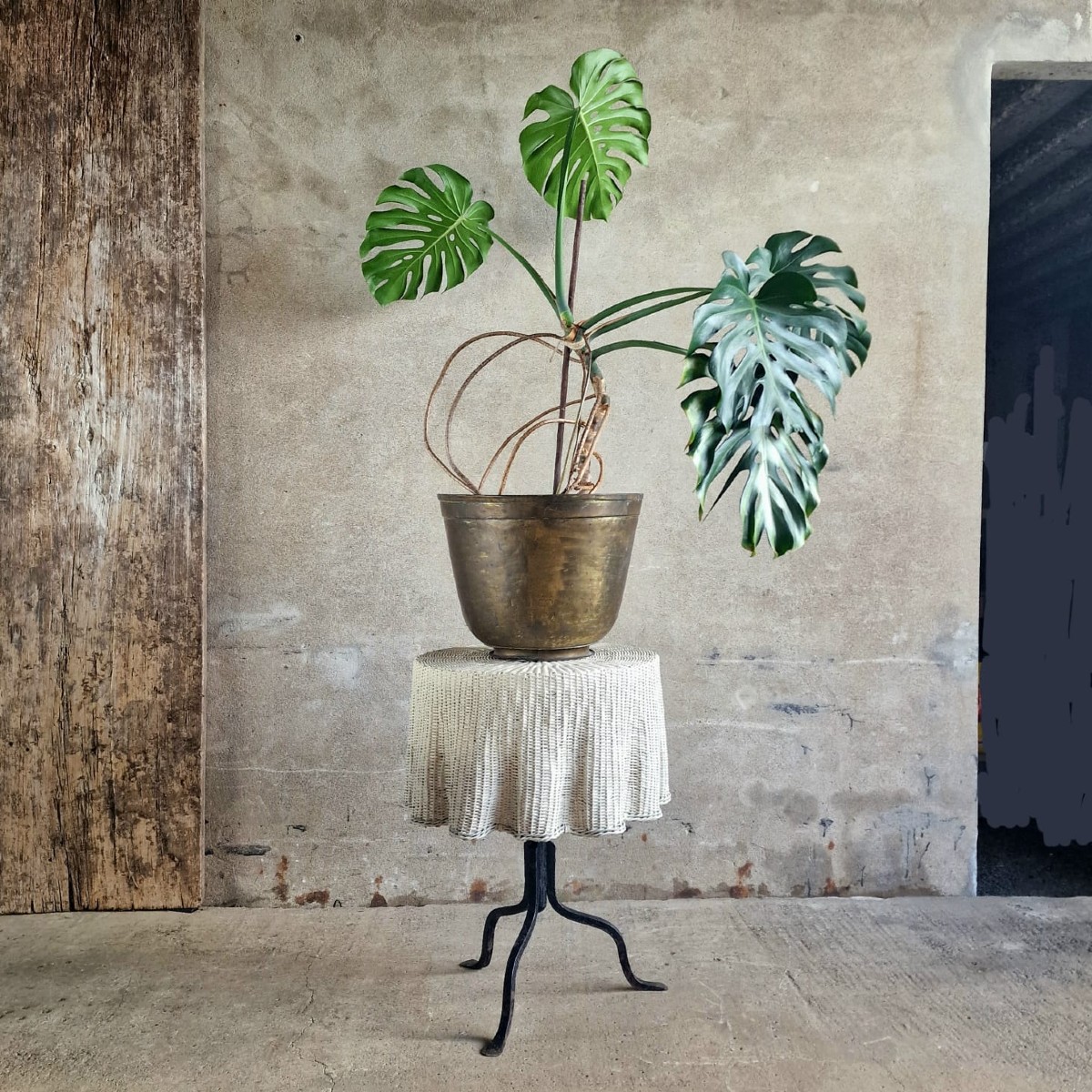 Brass Planter/sugar Pot-photo-2