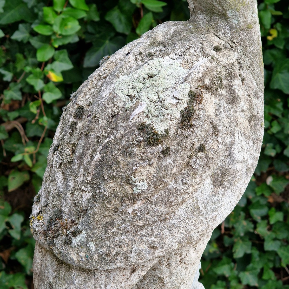 Cigogne en pierre reconstituée-photo-5