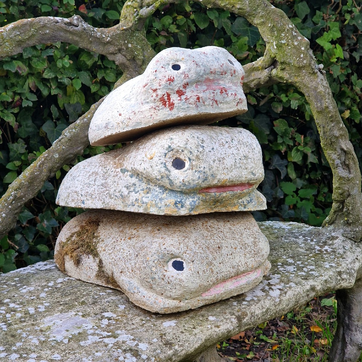 3 grenouilles de Taugourdeau-photo-2