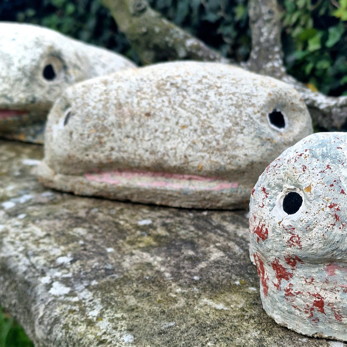 3 grenouilles de Taugourdeau-photo-3