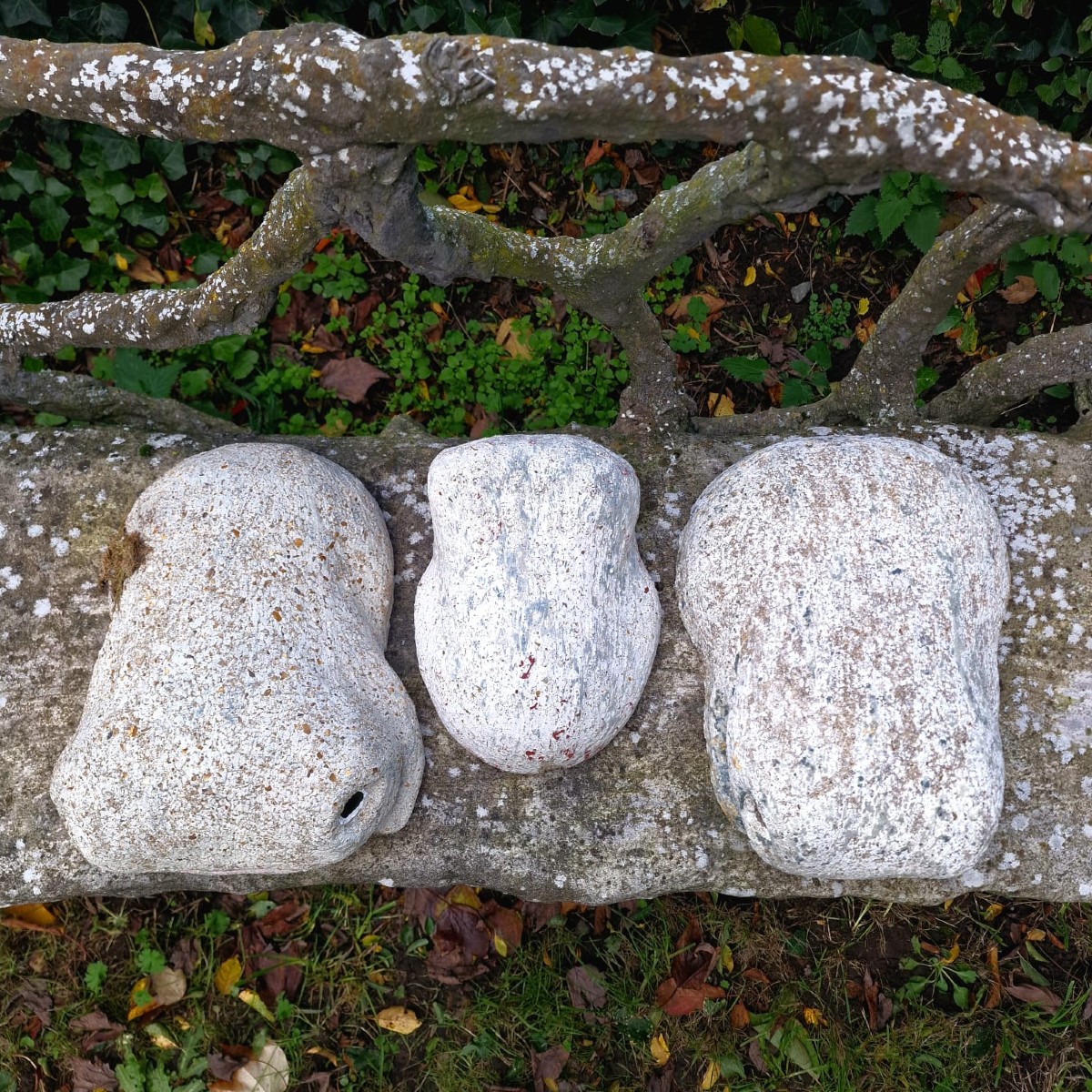 3 grenouilles de Taugourdeau-photo-6