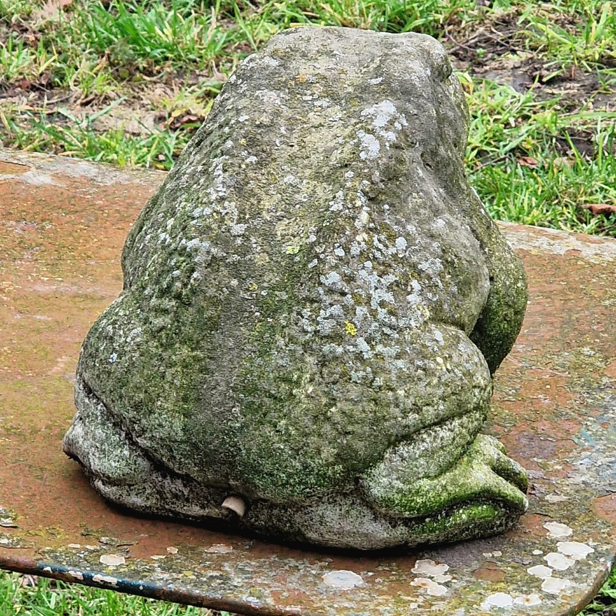 Fontaine à grenouilles-photo-2