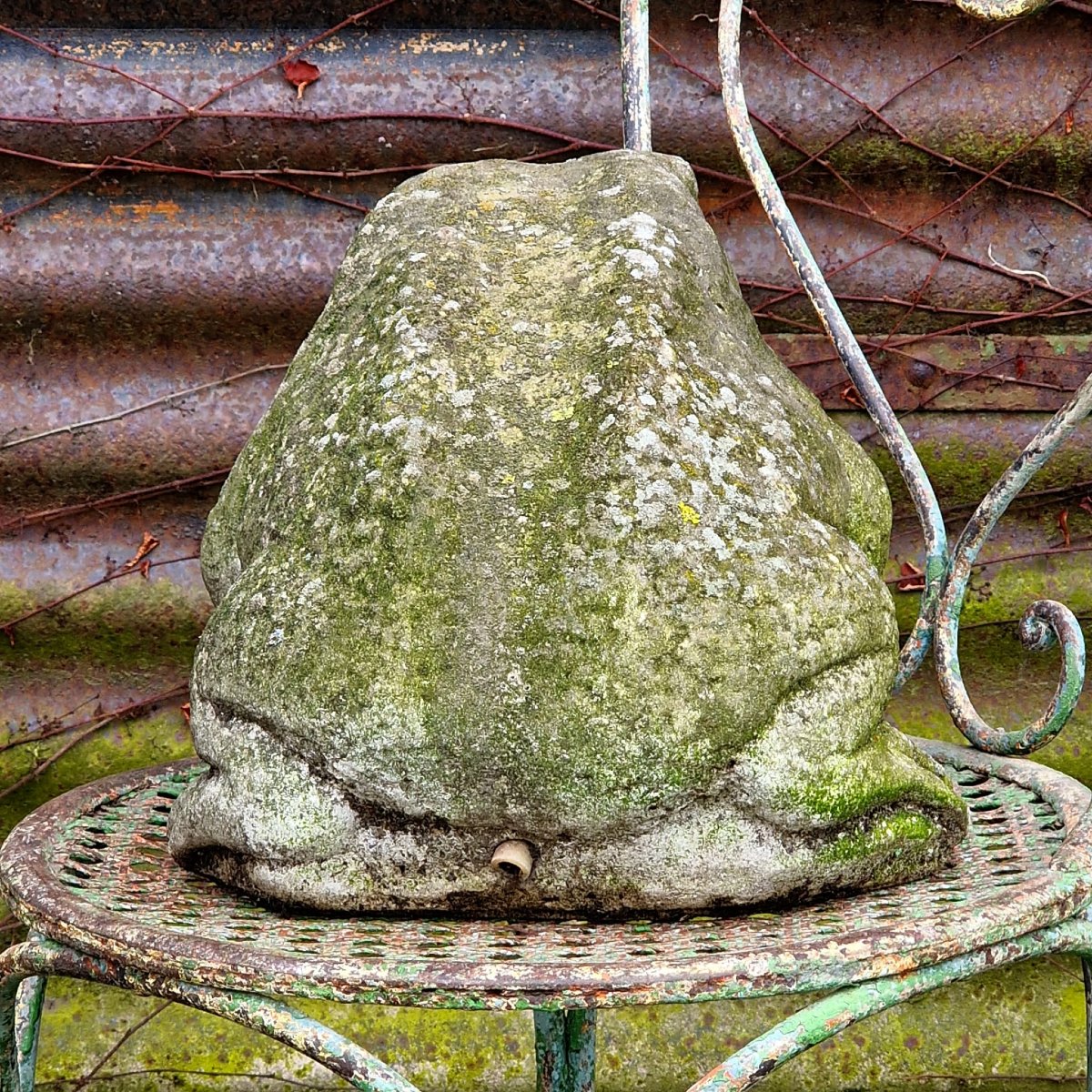 Fontaine à grenouilles-photo-4