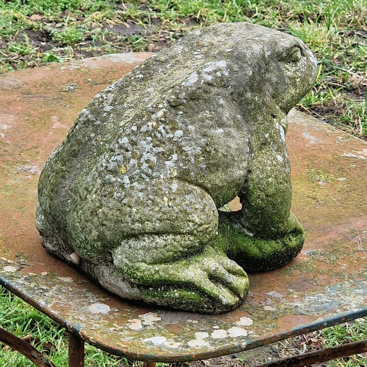 Fontaine à grenouilles-photo-5