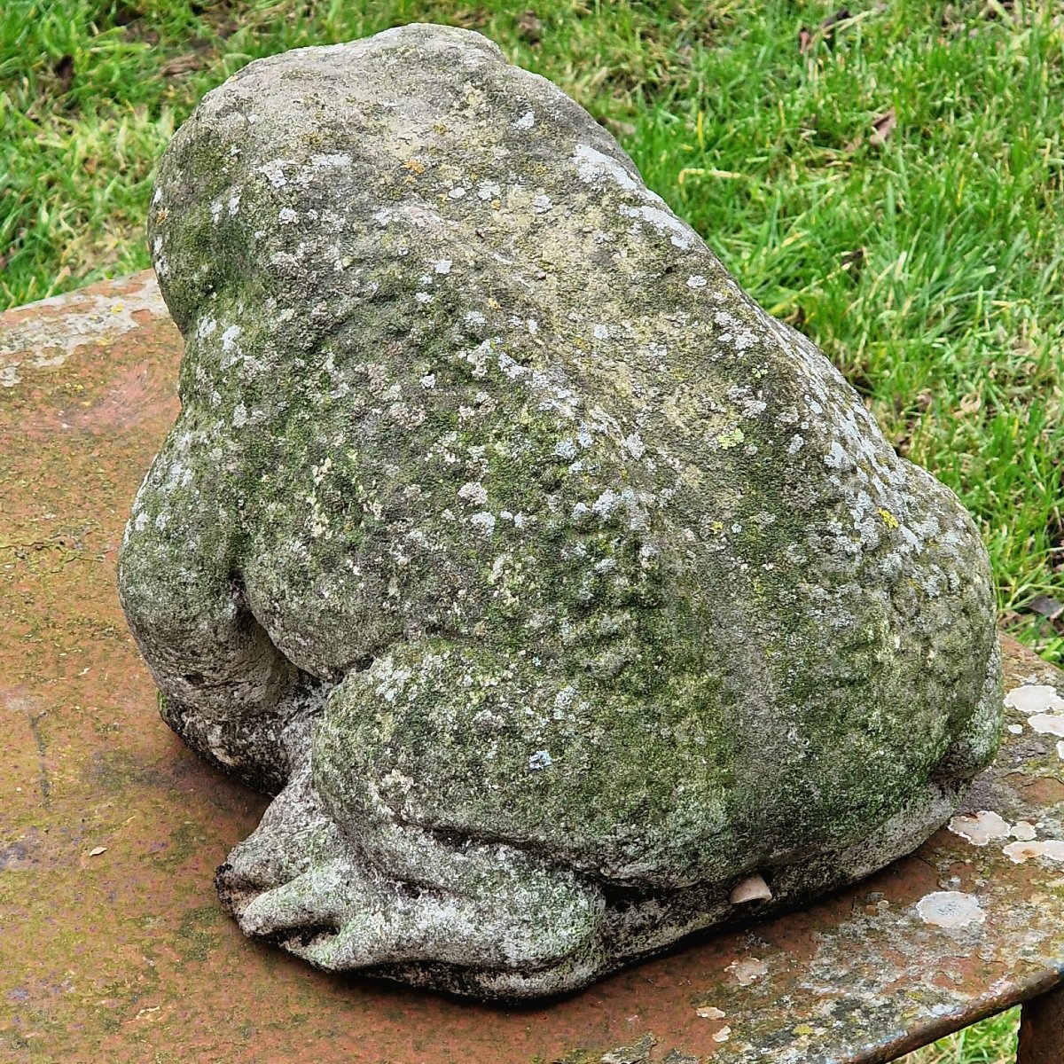 Fontaine à grenouilles-photo-7