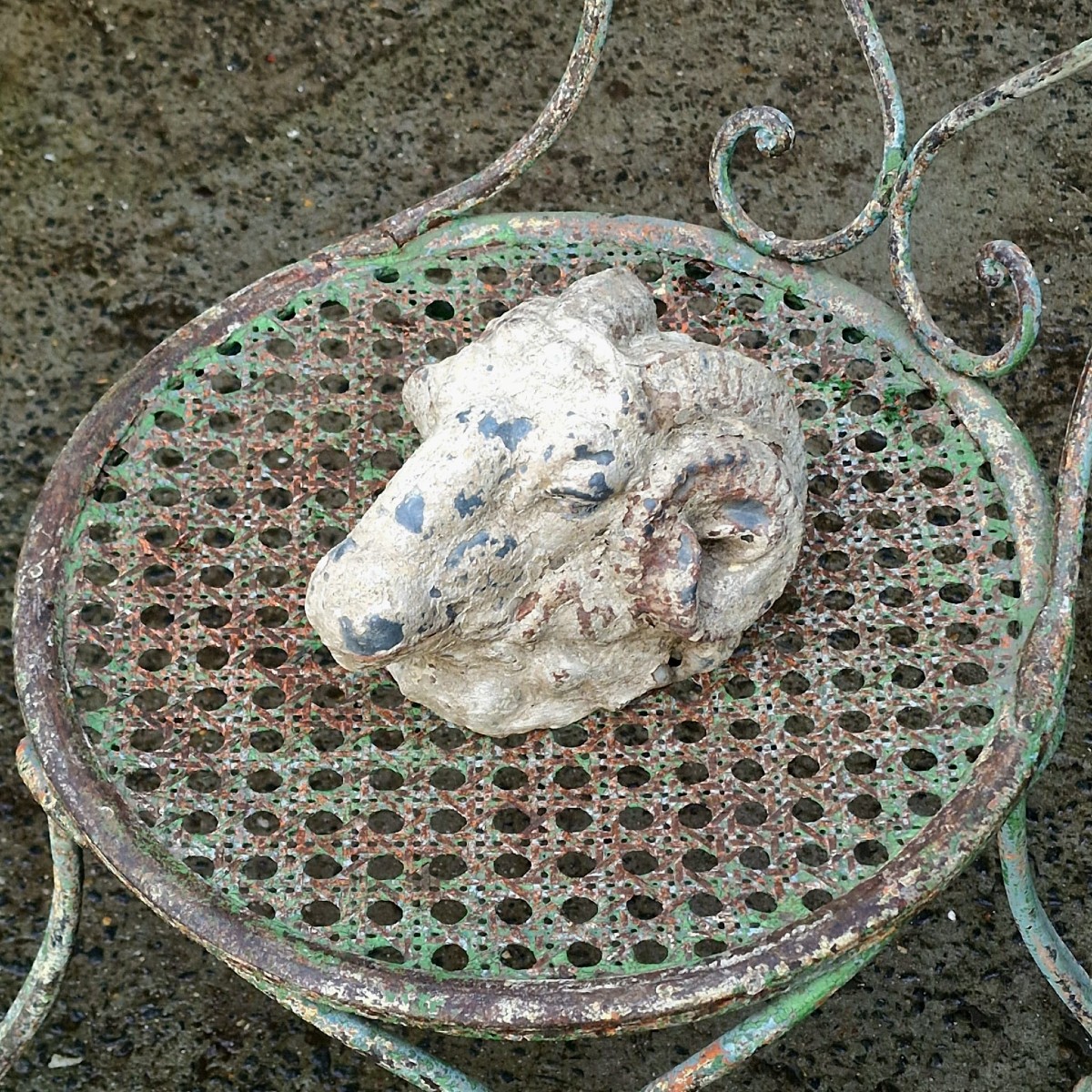 Zinc Ram's Head-photo-4