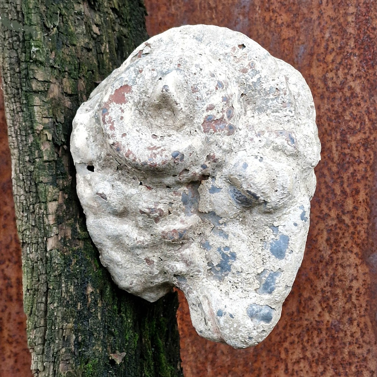 Zinc Ram's Head-photo-5