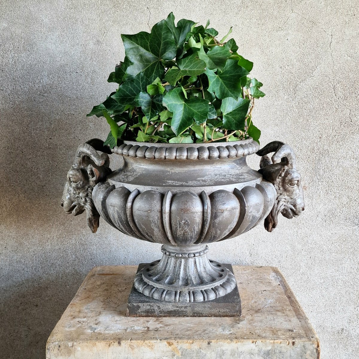 Cast Iron Basin With Ram's Heads-photo-1