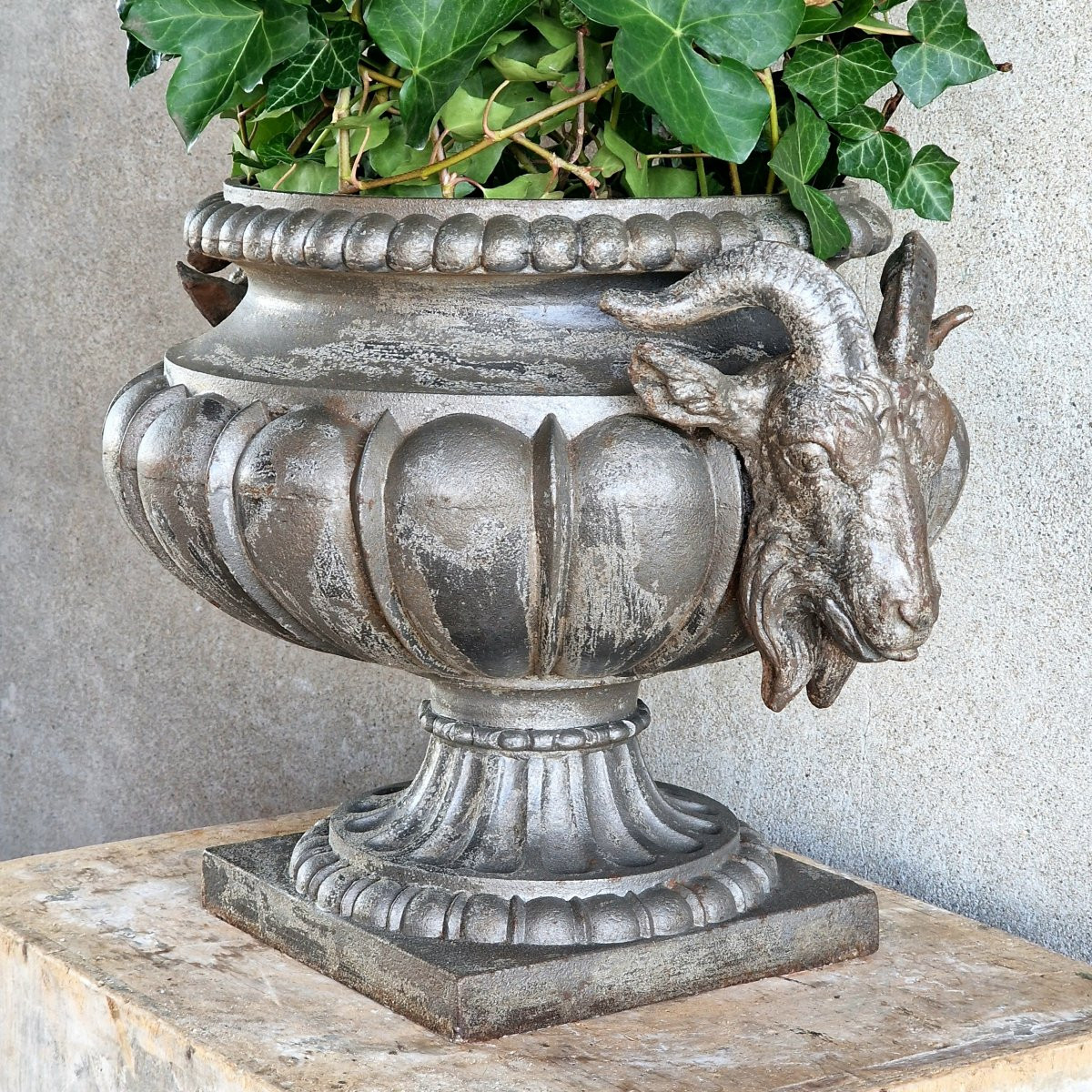 Cast Iron Basin With Ram's Heads-photo-2