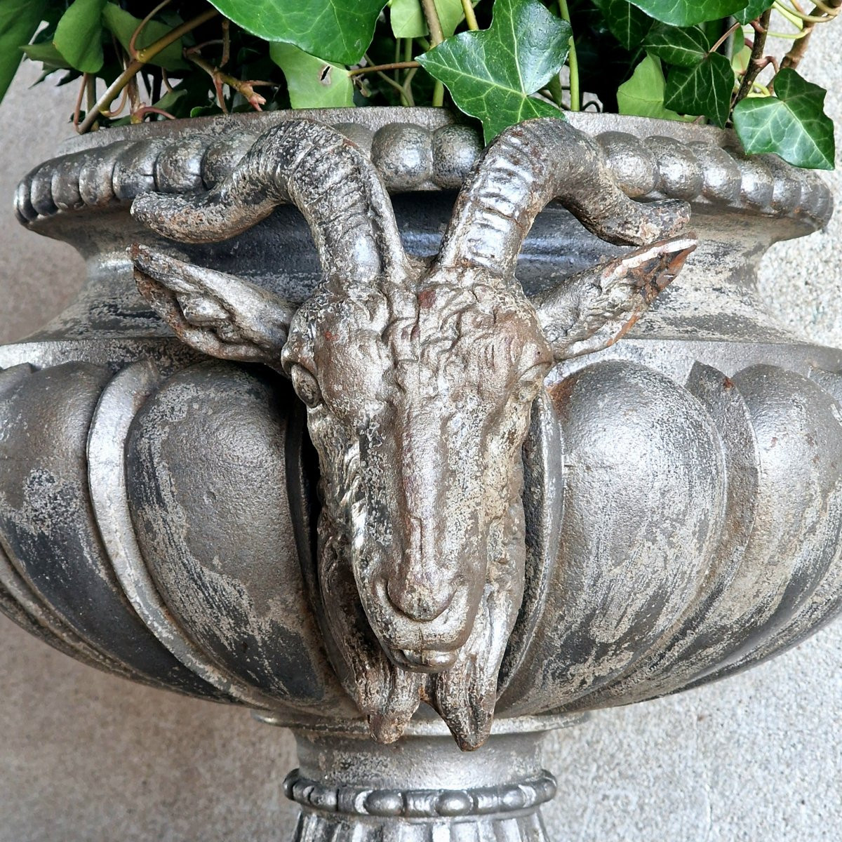 Cast Iron Basin With Ram's Heads-photo-3
