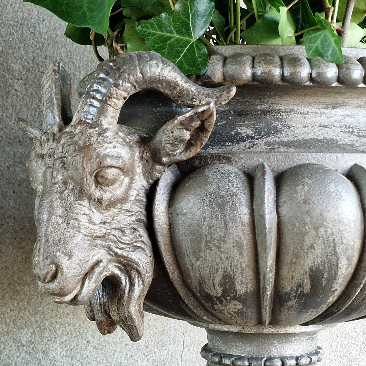 Cast Iron Basin With Ram's Heads-photo-4