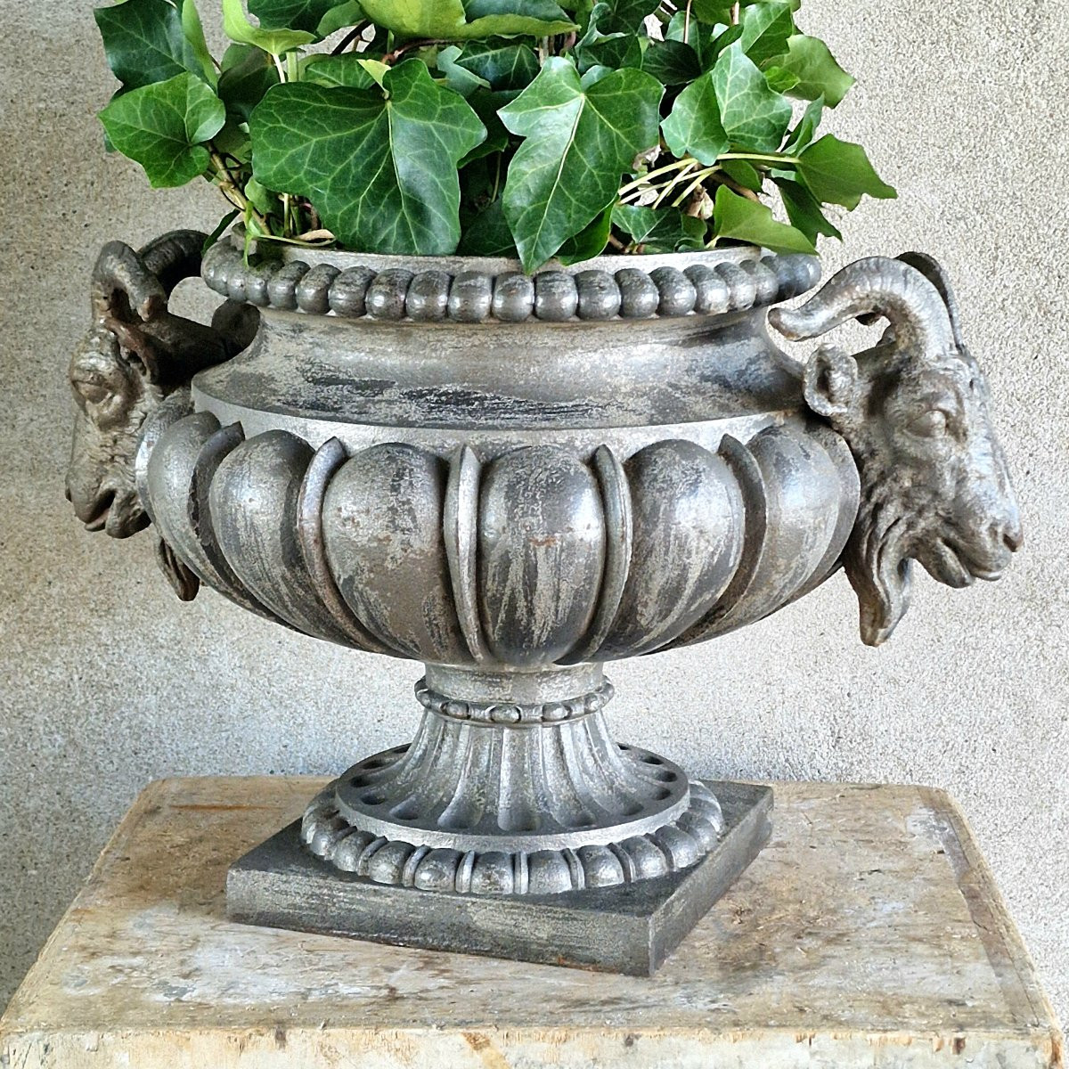 Cast Iron Basin With Ram's Heads-photo-6
