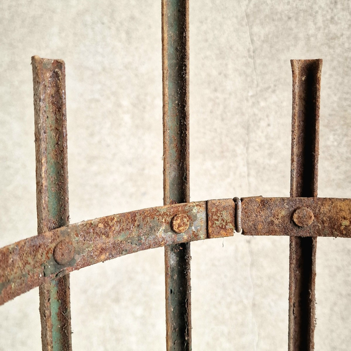 4 Large Tree Protectors-photo-4