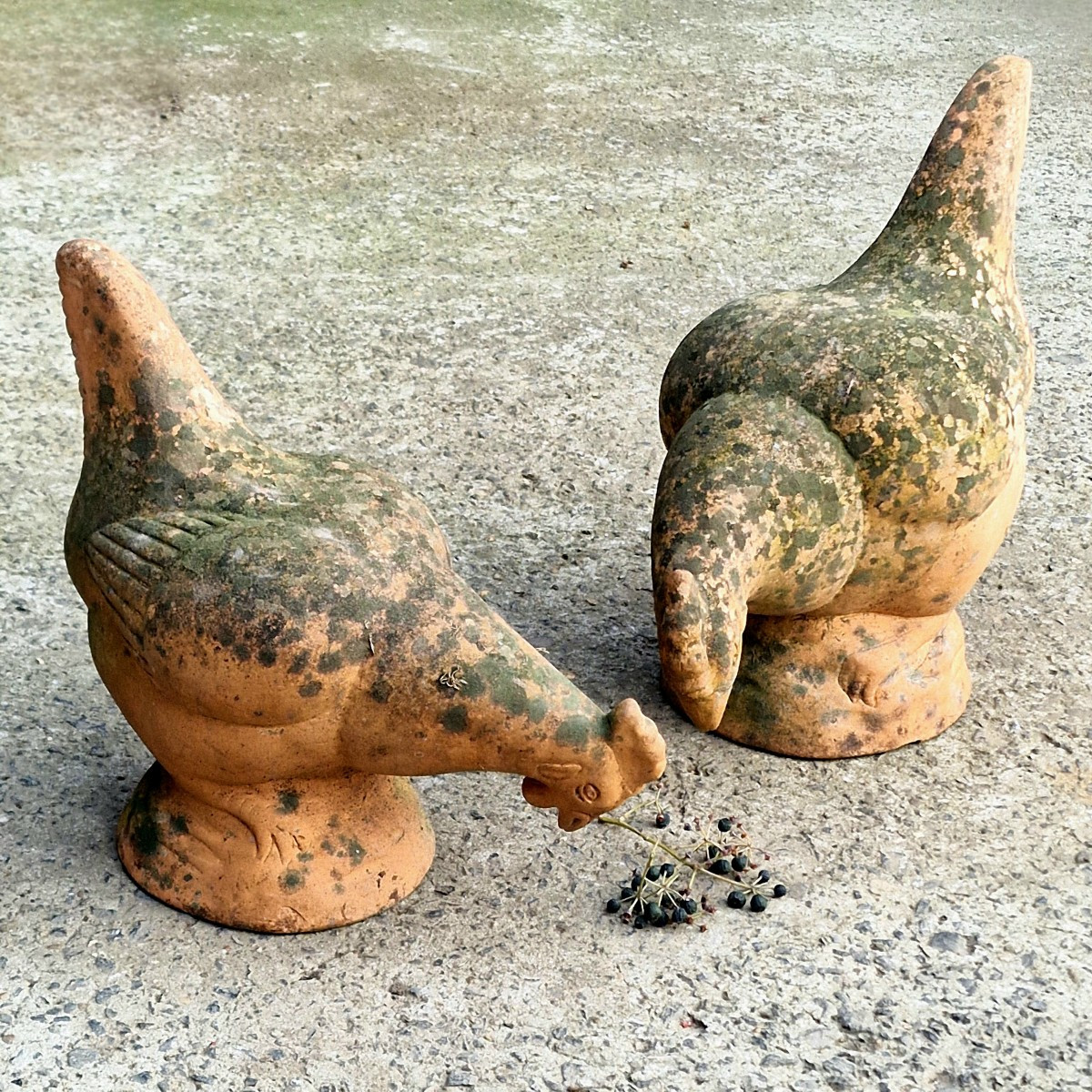 2 Terracotta Chickens-photo-2