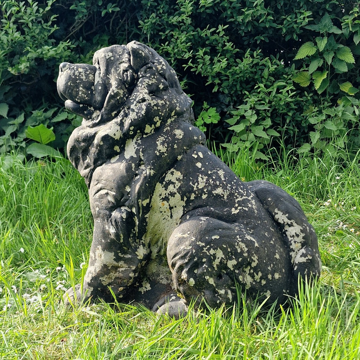 Life-size Chow-chow Dog-photo-2