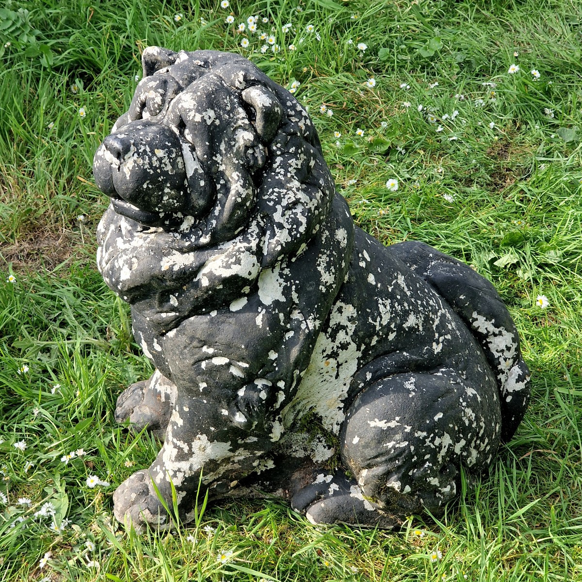 Life-size Chow-chow Dog-photo-4