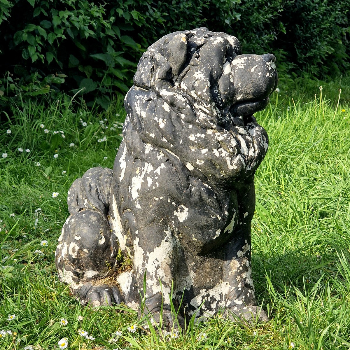 Life-size Chow-chow Dog-photo-5