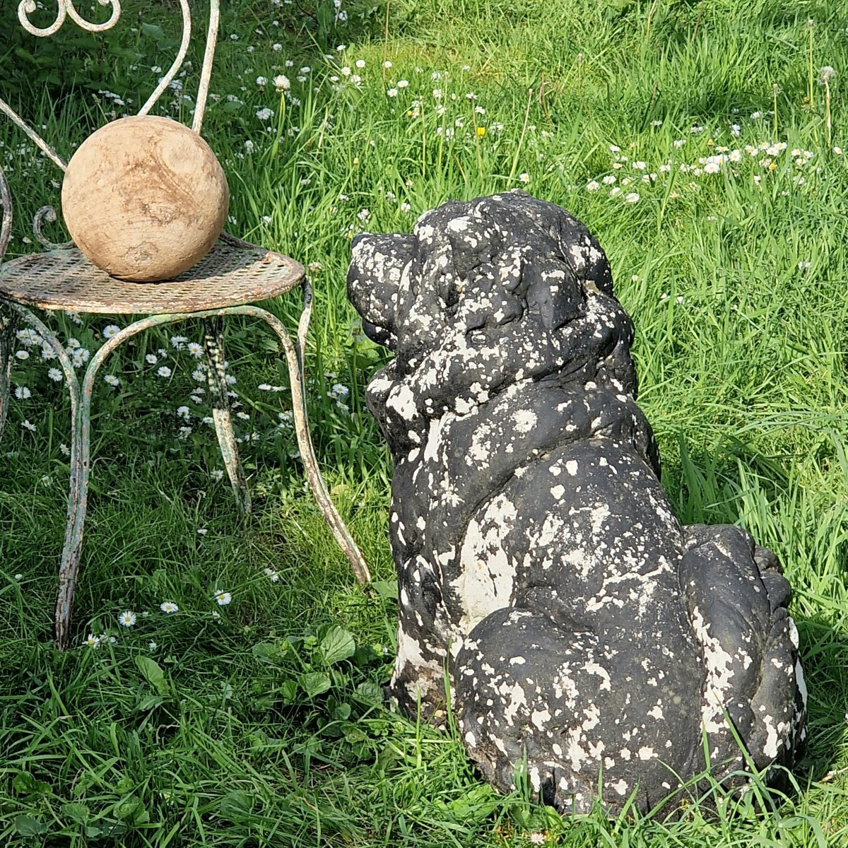 Life-size Chow-chow Dog-photo-6