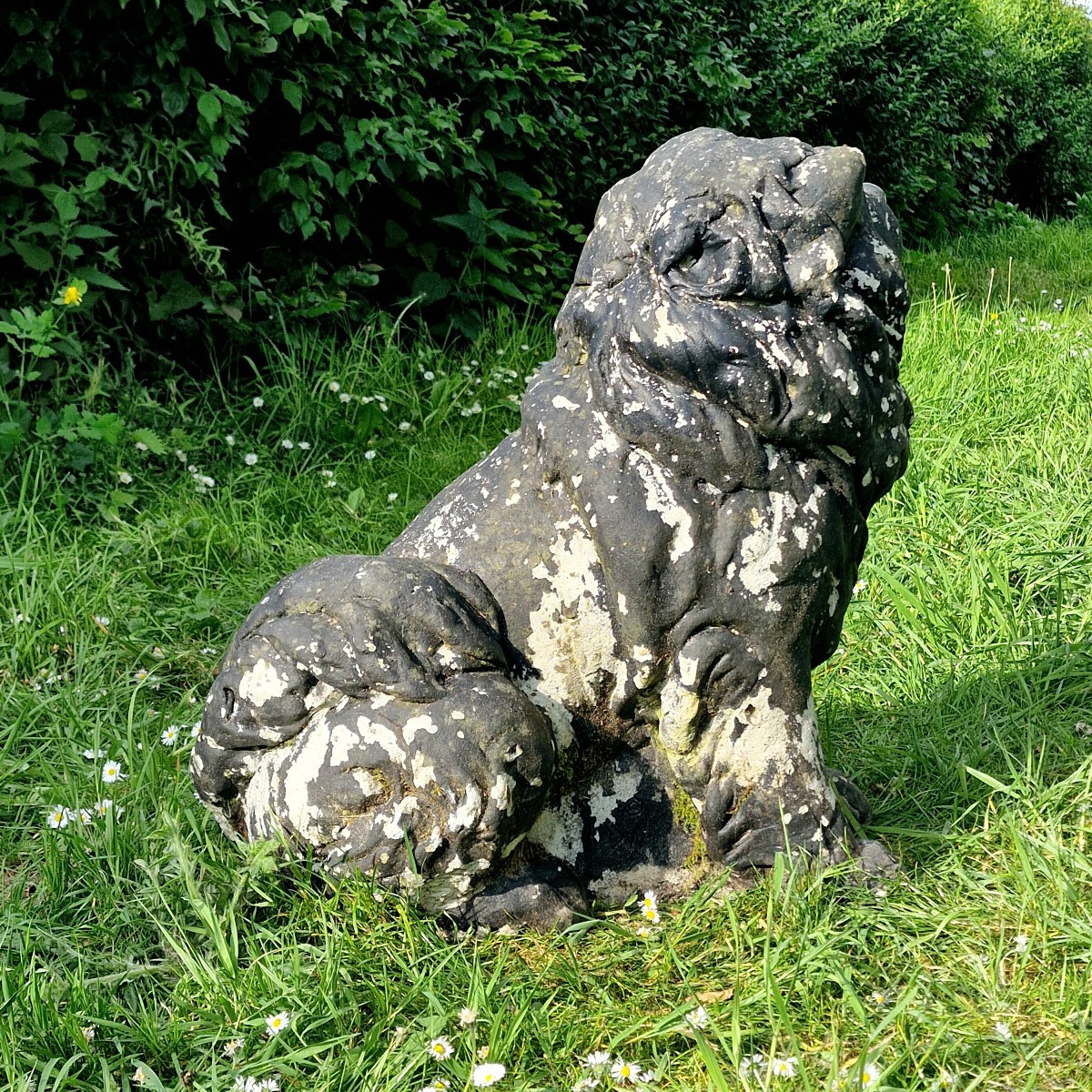 Life-size Chow-chow Dog-photo-7