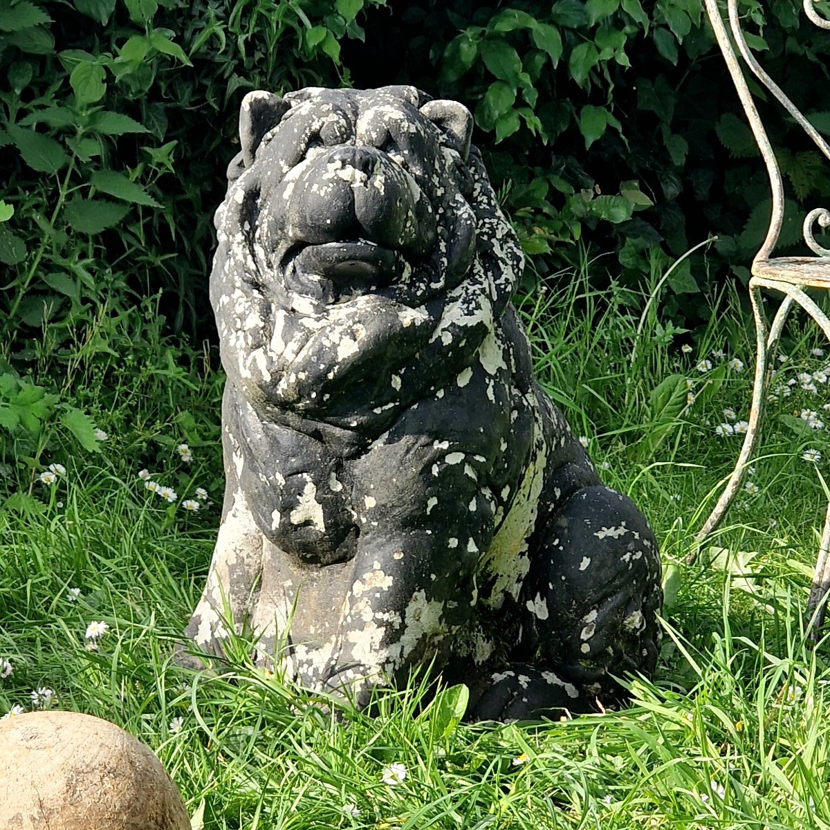 Life-size Chow-chow Dog