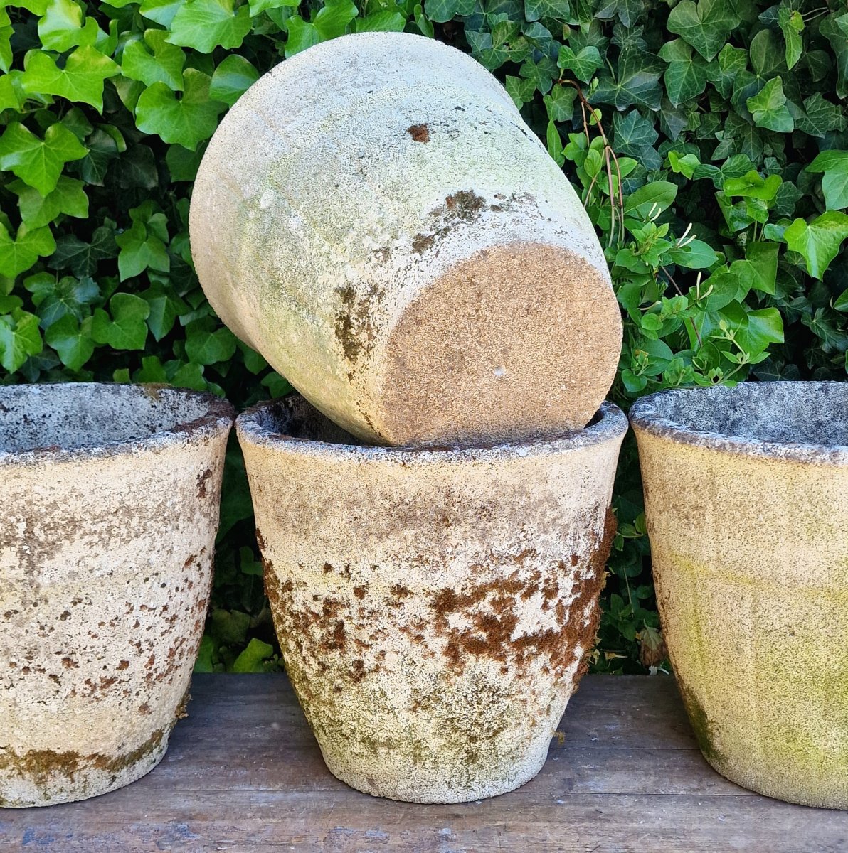 4 Round Planters-photo-2