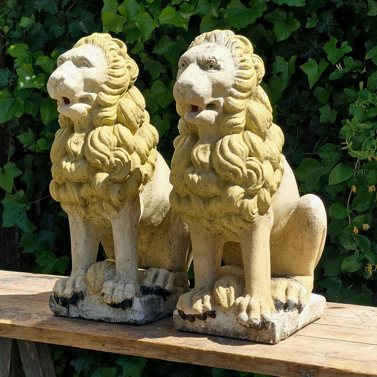 Pair Of Lions-photo-2
