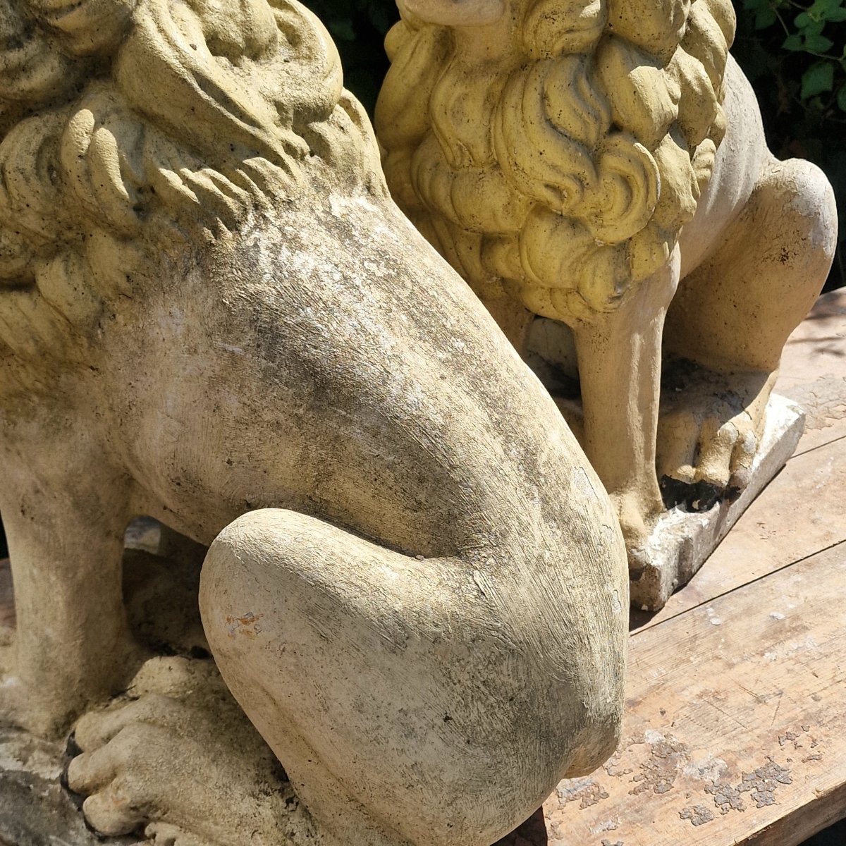 Pair Of Lions-photo-3