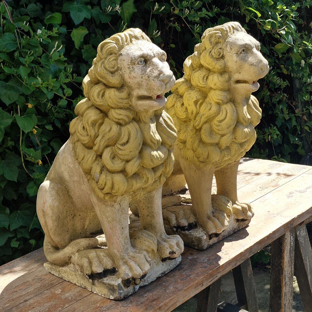 Pair Of Lions-photo-4