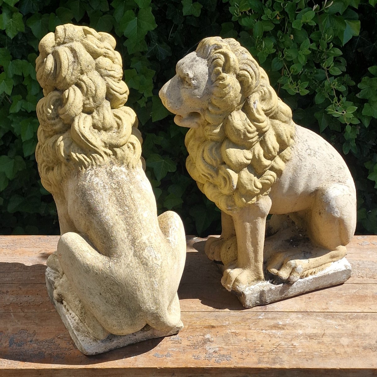 Pair Of Lions-photo-2