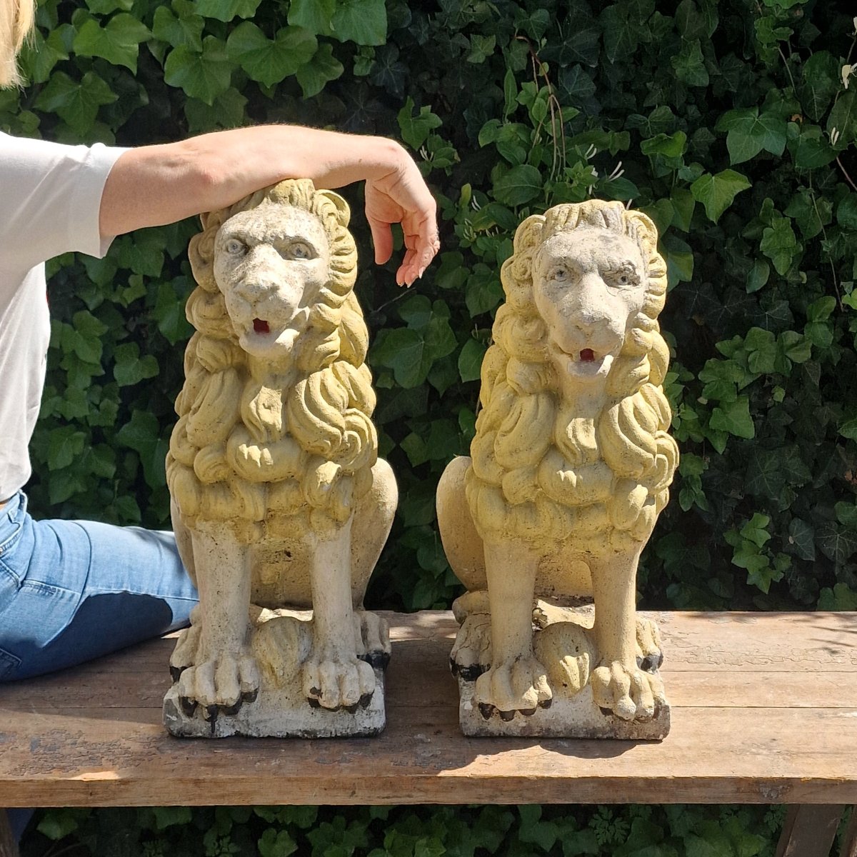 Pair Of Lions-photo-3