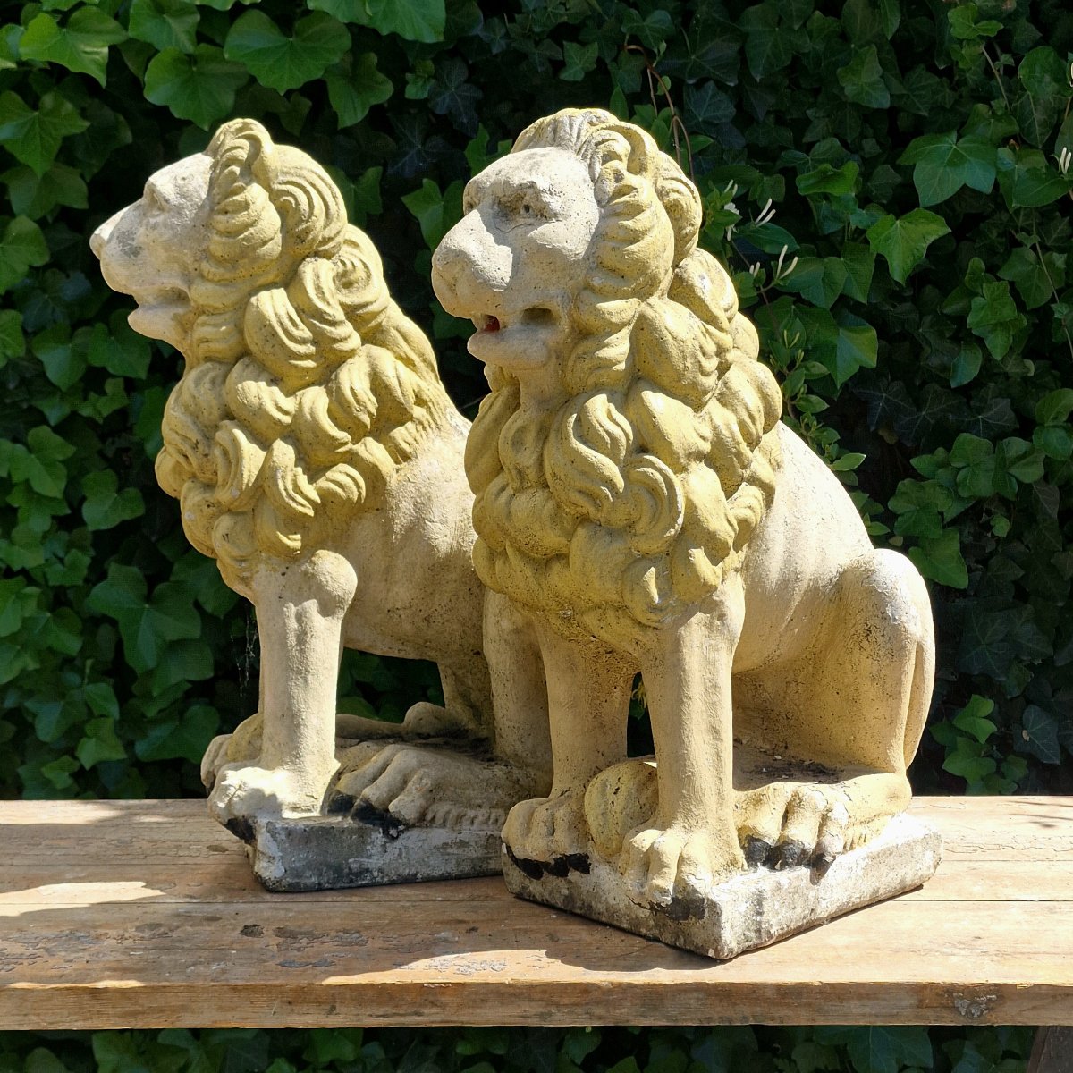 Pair Of Lions-photo-4