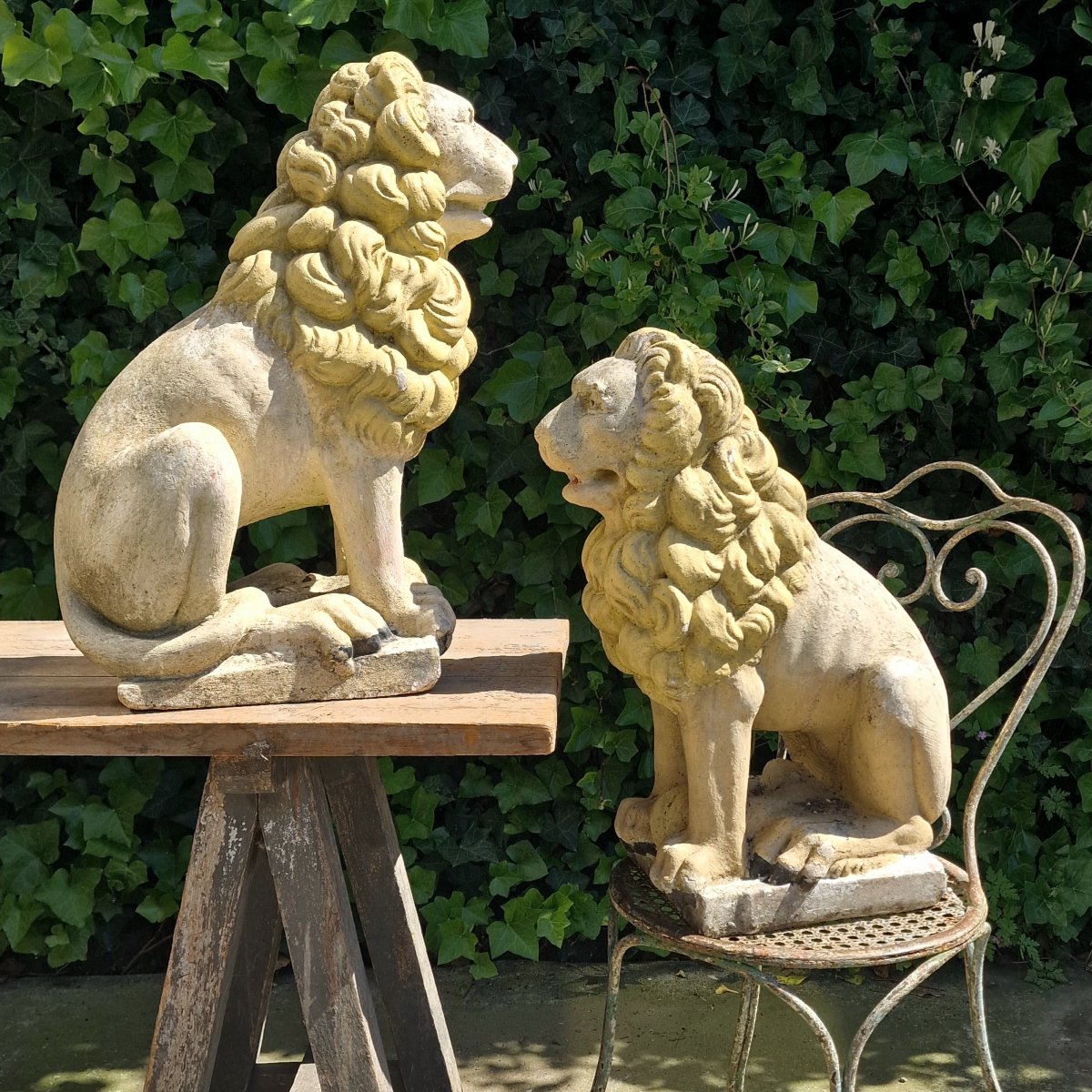 Pair Of Lions