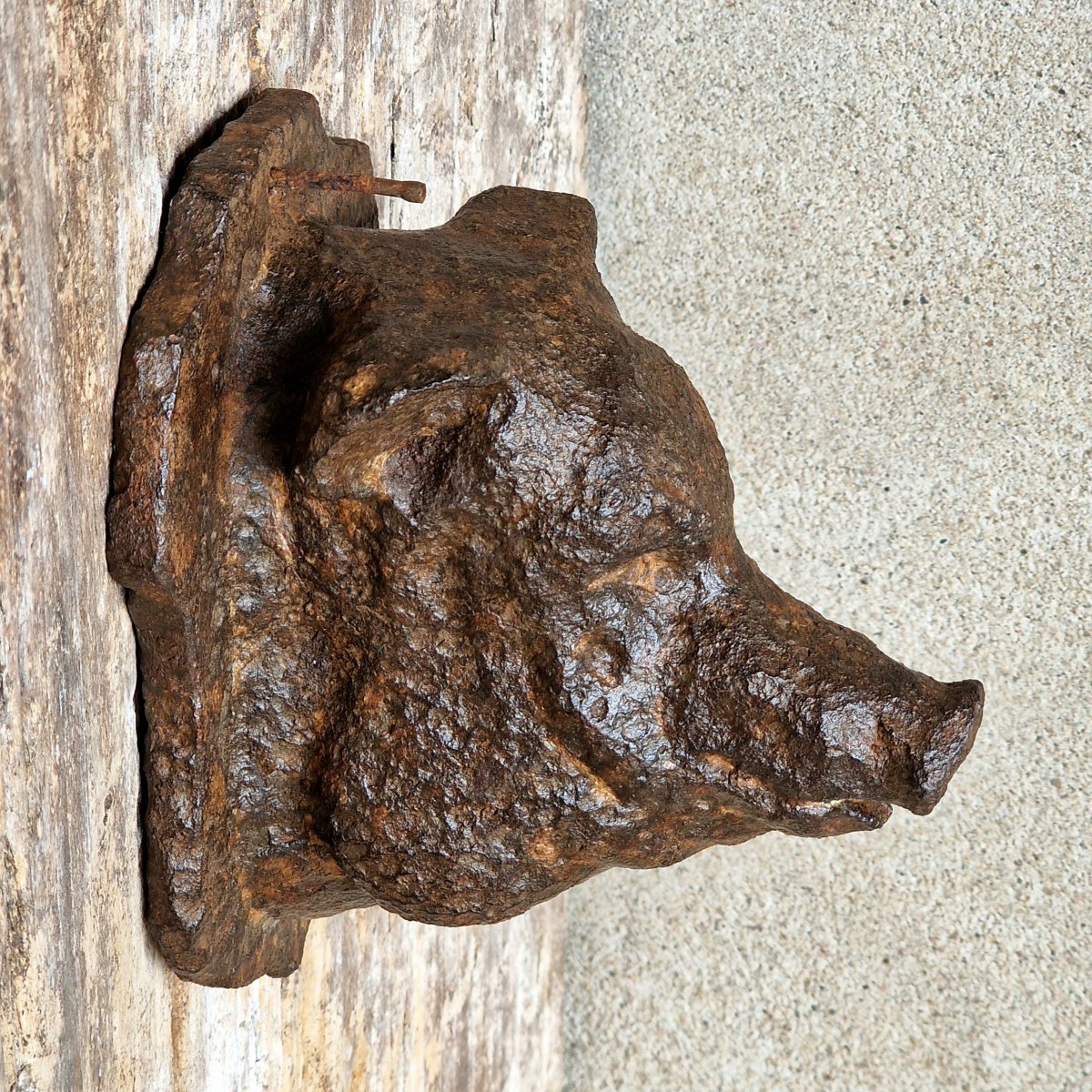 Small Cast Iron Pig's Head-photo-2