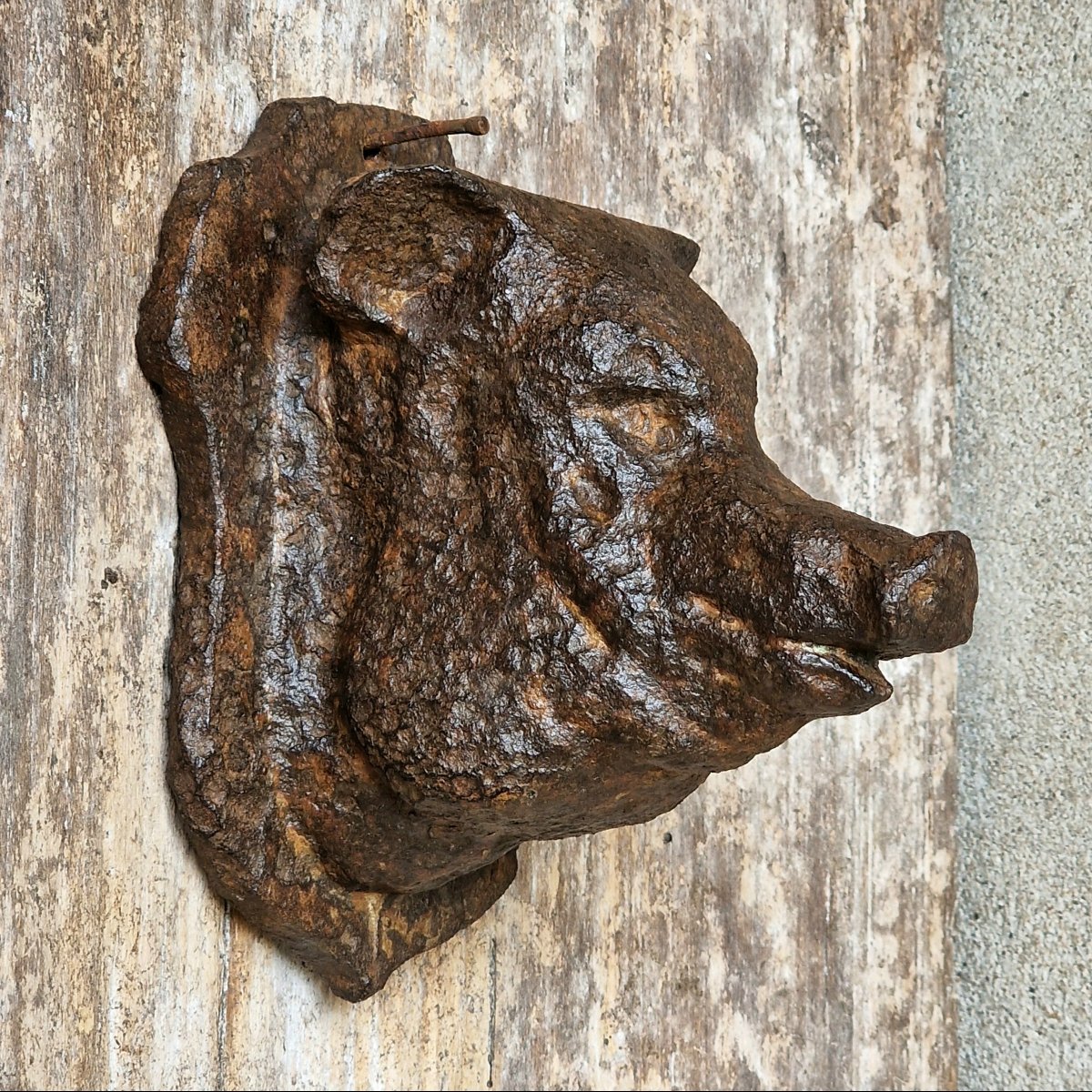 Small Cast Iron Pig's Head-photo-4