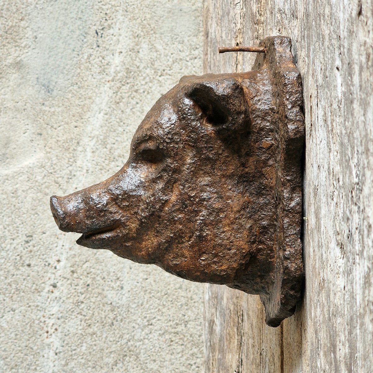 Small Cast Iron Pig's Head-photo-1