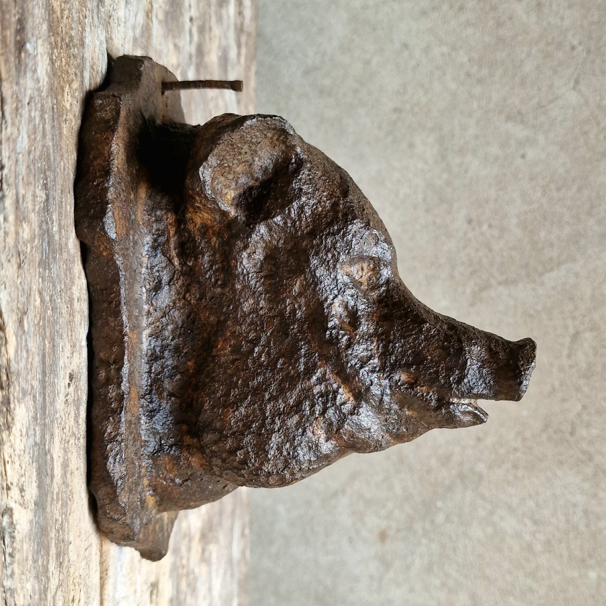 Small Cast Iron Pig's Head-photo-3