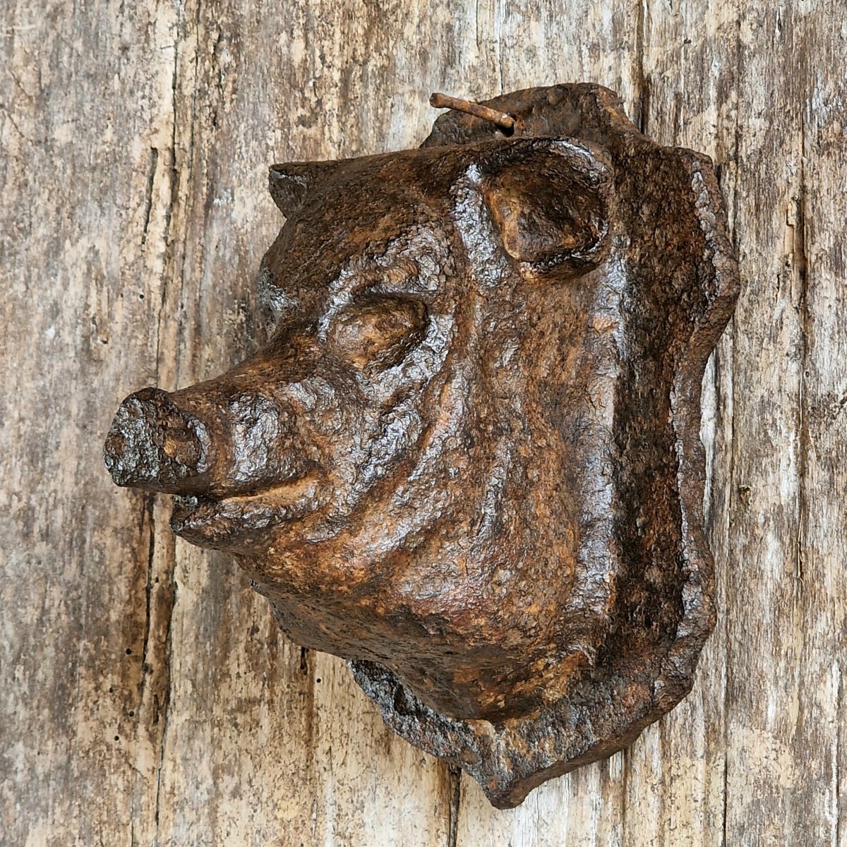 Small Cast Iron Pig's Head